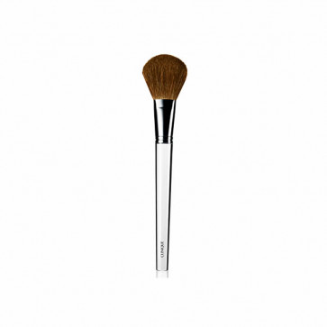 Clinique Brush blush