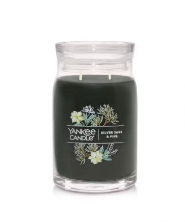 Yankee Candle Silver Sage & Pine Scented Candle 1 ud