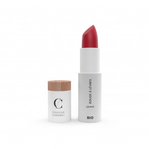 Couleur Caramel Rouge Á Lèvres Lipstick - 503 Pink Nude