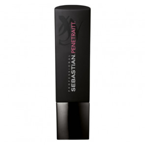 Sebastian PENETRAITT Shampoo 250 ml