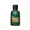 Dsquared2 Green Wood Eau de toilette 100 ml