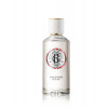 Roger & Gallet Gingembre Eau de parfum 100 ml