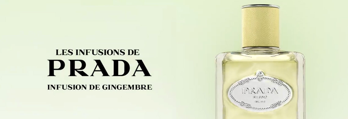 Prada Infusion Gingembre